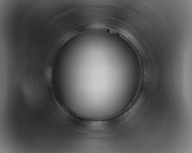 X0000089850849200706281250