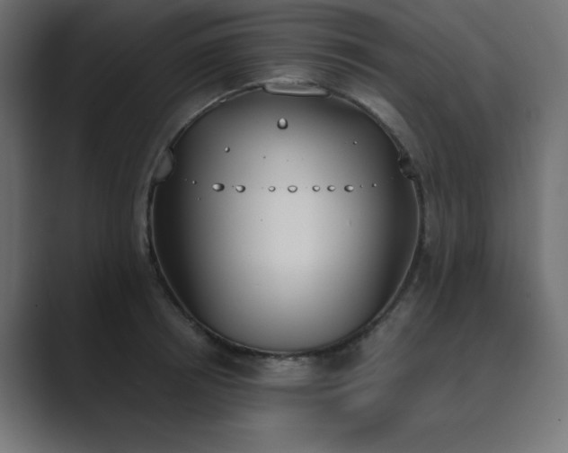 X0000089850850200706281250