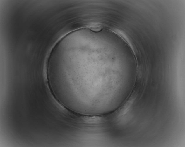 X0000089850851200706281250