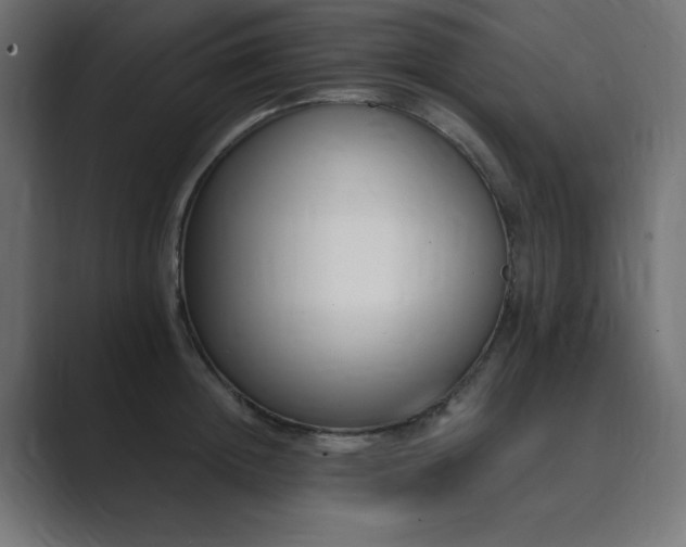 X0000089850852200706281250