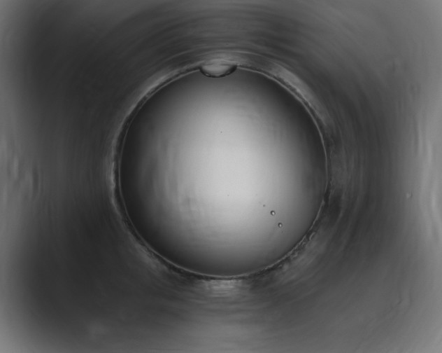 X0000089850853200706281250