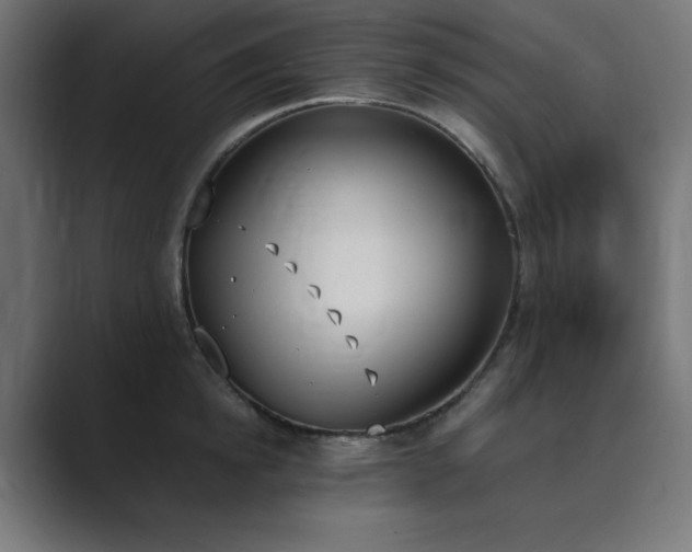 X0000089850854200706281250