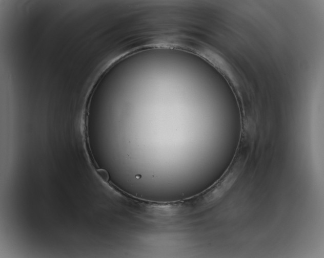 X0000089850855200706281250