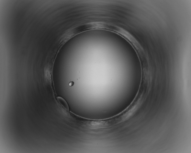 X0000089850857200706281250