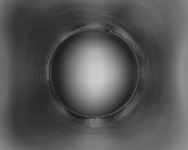 X0000089850858200706281250
