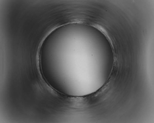 X0000089850859200706281250