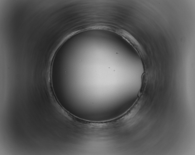 X0000089850860200706281250