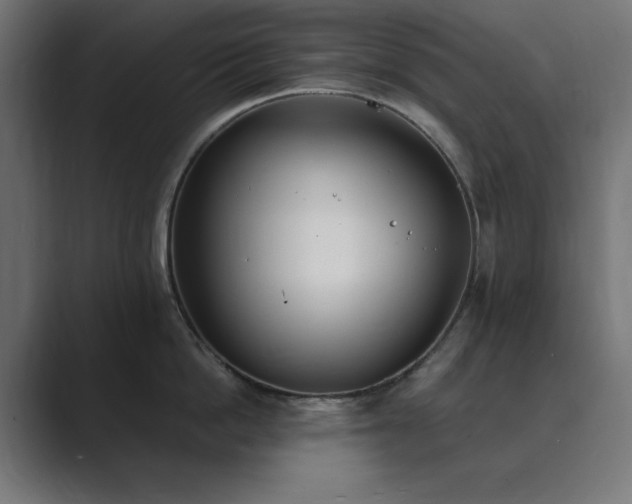 X0000089850862200706281250