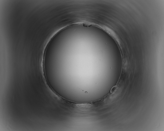 X0000089850863200706281250