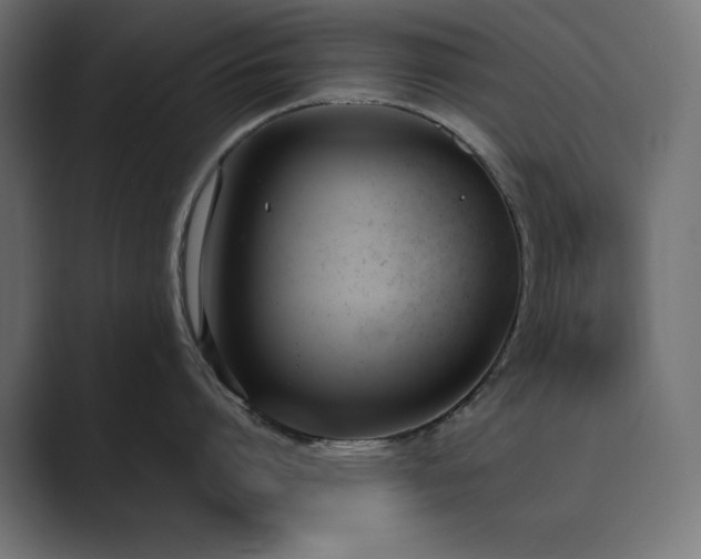 X0000089850864200706281250