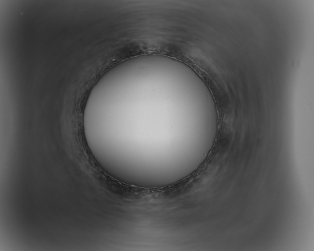 X0000089850865200706281249