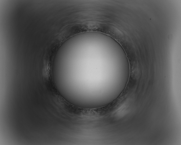 X0000089850866200706281249