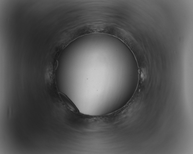X0000089850867200706281249