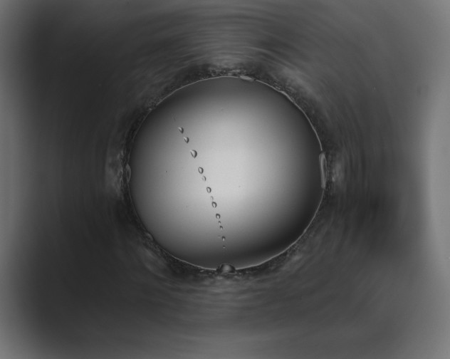 X0000089850868200706281249