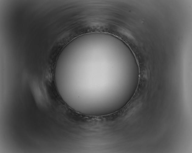 X0000089850869200706281249