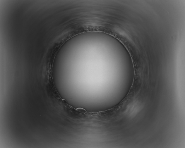 X0000089850870200706281249