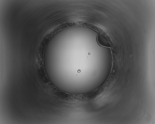 X0000089850871200706281249