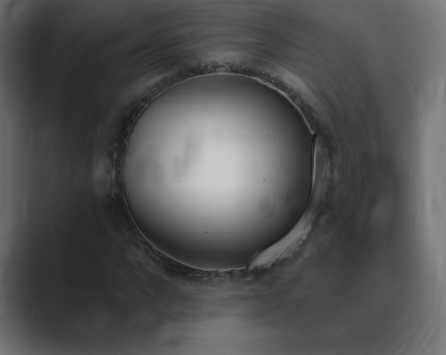 X0000089850872200706281249