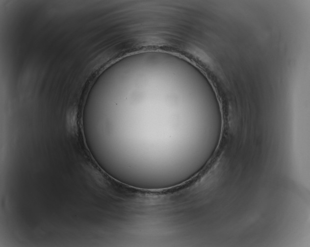 X0000089850873200706281249