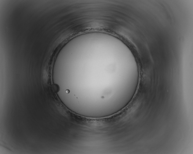 X0000089850874200706281249