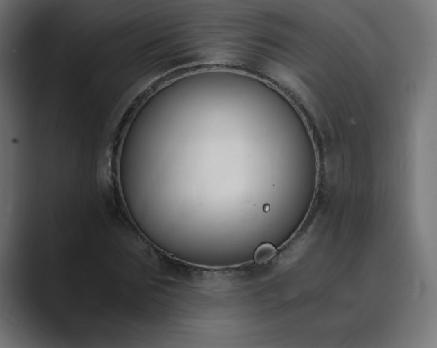 X0000089850875200706281249