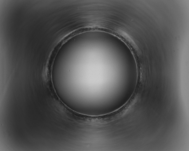 X0000089850876200706281249