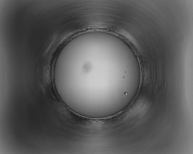 X0000089850878200706281249