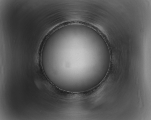 X0000089850879200706281249