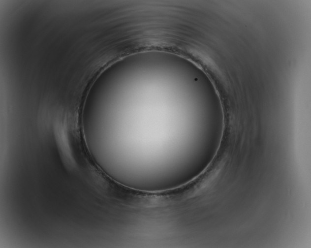 X0000089850881200706281249