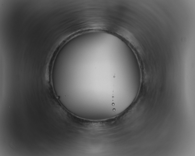 X0000089850883200706281249