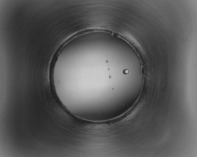 X0000089850884200706281249