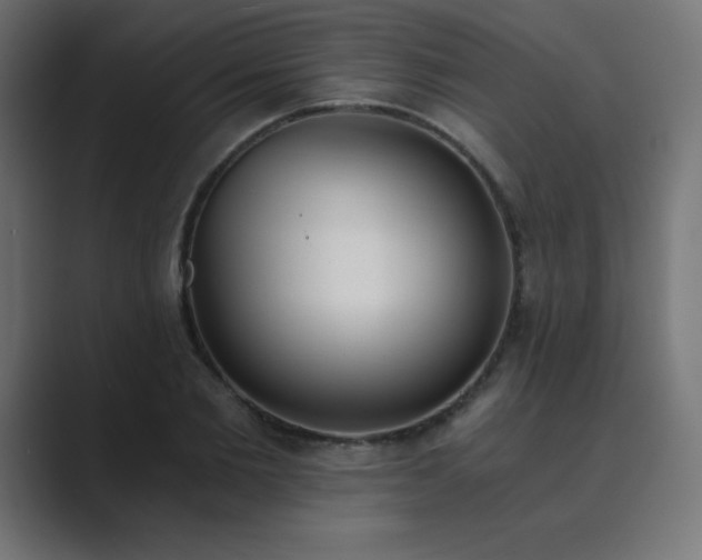 X0000089850885200706281249