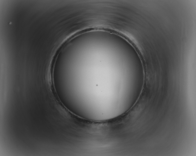 X0000089850887200706281249