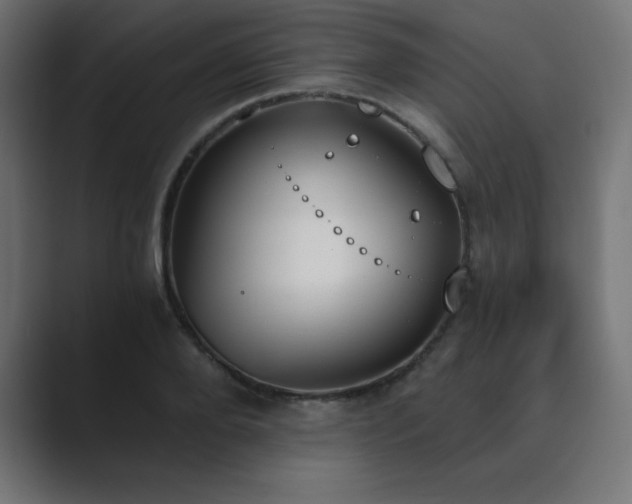 X0000089850888200706281249