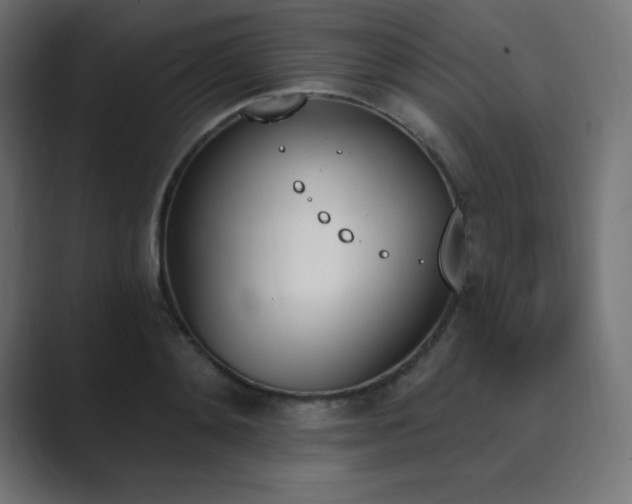 X0000089850892200706281249