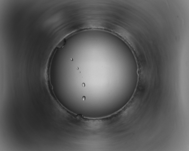 X0000089850893200706281249