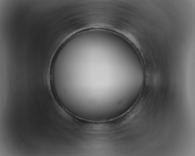 X0000089850895200706281249