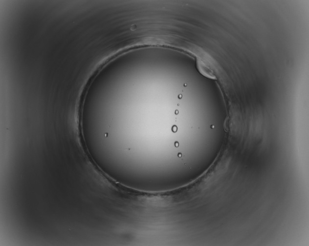 X0000089850896200706281249