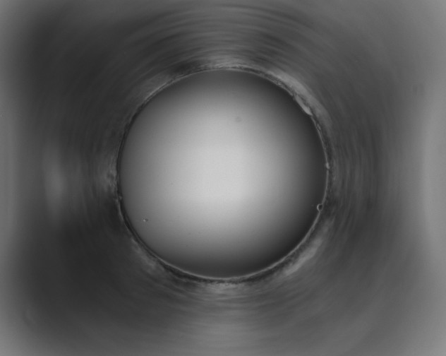 X0000089850897200706281249