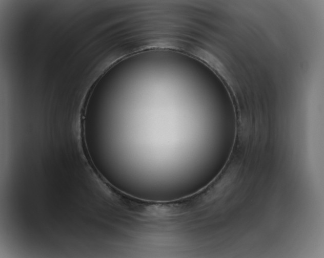 X0000089850898200706281249