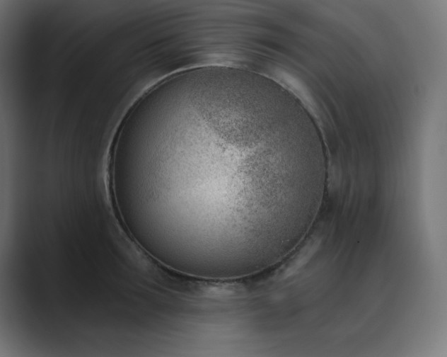 X0000089850899200706281249