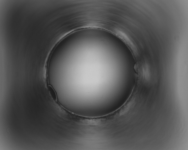 X0000089850900200706281249