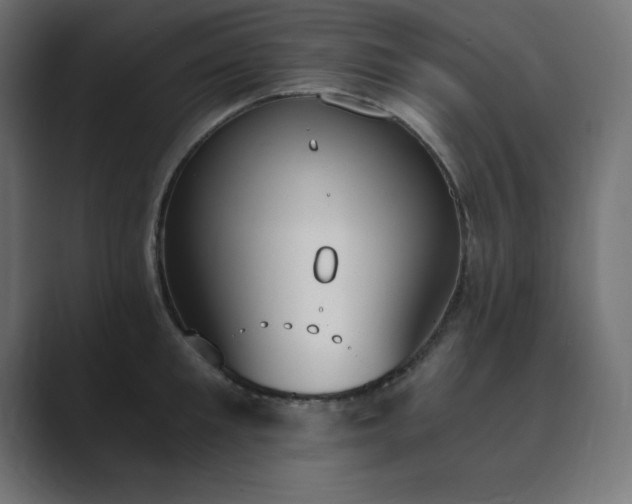 X0000089850901200706281249