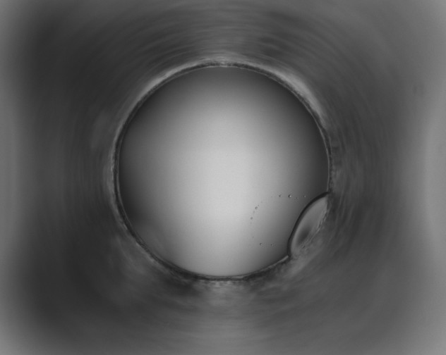 X0000089850903200706281249