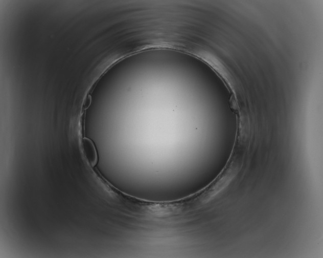 X0000089850906200706281249