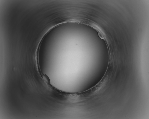 X0000089850907200706281249