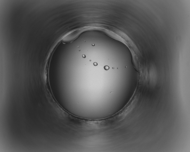 X0000089850908200706281249