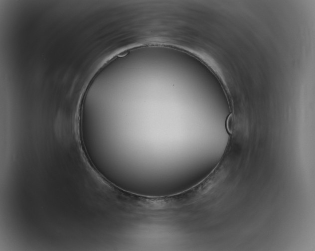 X0000089850911200706281249