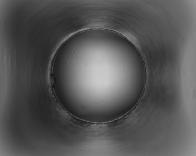 X0000089850912200706281249