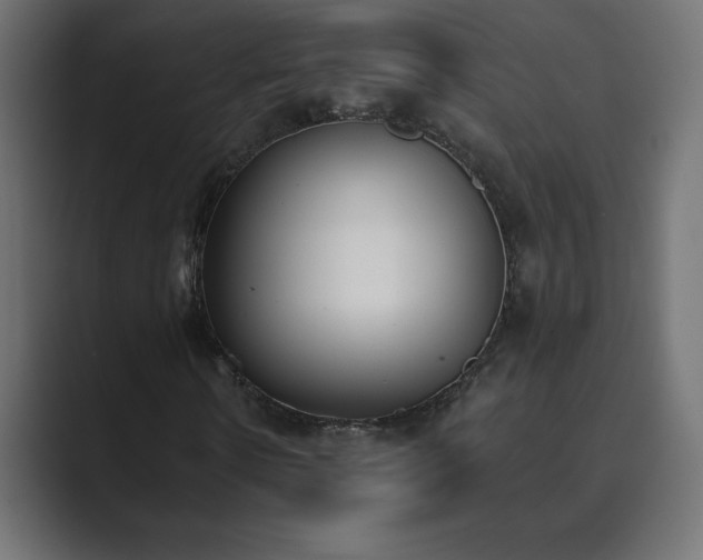 X0000089850914200706281248